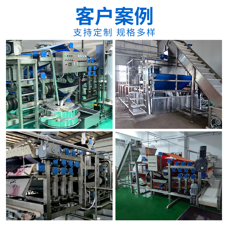 帶式水果壓榨生產(chǎn)線案例 帶式水果壓榨生產(chǎn)線案例